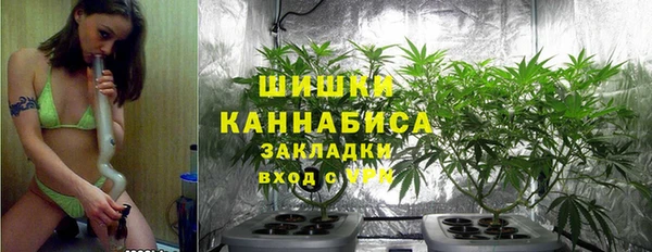 MESCALINE Бородино