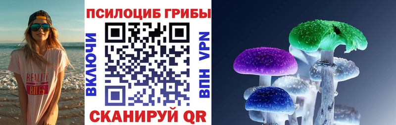где найти   Медвежьегорск  Псилоцибиновые грибы GOLDEN TEACHER 